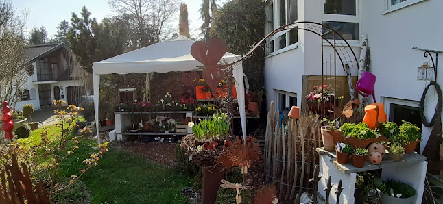 Blumen-Variationen