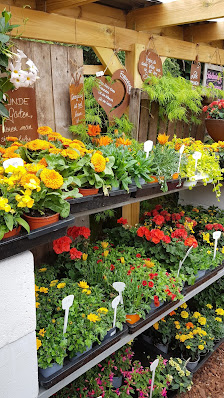 Blumen-Variationen