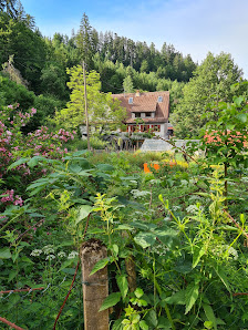 Waldachtaler Gartengemüse