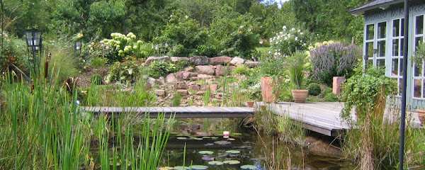 Markus Dietz GmbH Gartengestaltung
