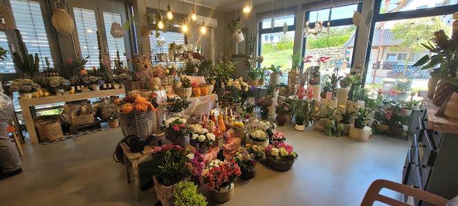 Blumenlaedle Andrea Schütze-Dippmann