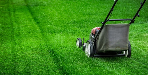 SIT - Gartenservice