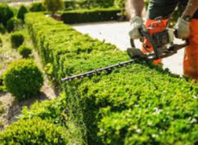 SIT - Gartenservice