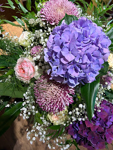 Pusteblume - Sag's durch die Blume