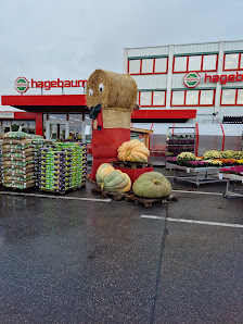 hagebau bolay / hagebaumarkt mit Floraland