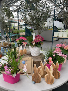 Blumenhaus Koch