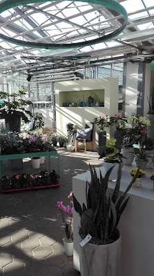 Blumenhaus Koch