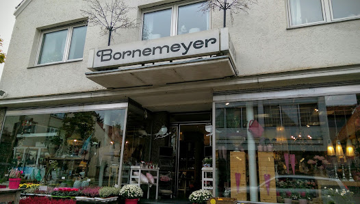 Blumenhaus Fritz Bornemeyer Inh. Ralph Okagbue e.K.