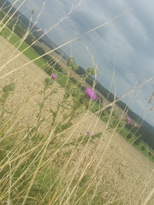 Polleichtner Gartenbau
