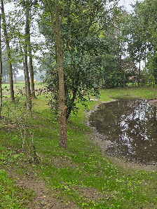 Olaf Krause Garten- und Landschaftsbau GmbH & Co. KG | Halle/Westfalen