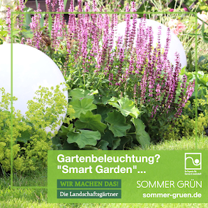 Sommer Grün | Garten- & Landschaftsbau | Halle (Westfalen)