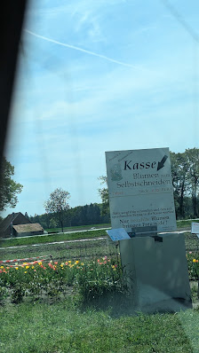 Blumen selbst schneiden