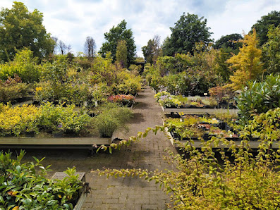 Verler Gartenbau GmbH & Co. KG