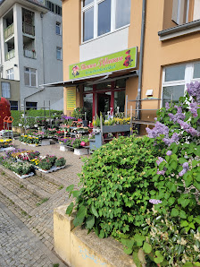 Blumen und Pflanzen