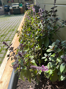 Gärtnerei Blu-Blumen GbR