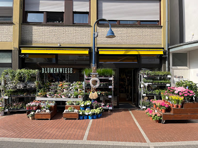 Blumenwiese-Lage