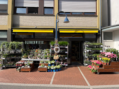 Blumenwiese-Lage