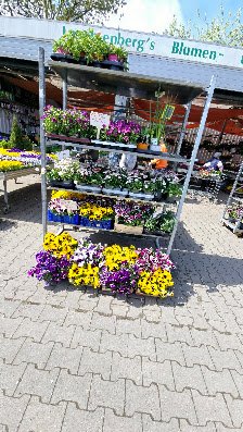 Leuchtenberg's Blumen- und Pflanzenmarkt