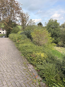 Gartenbau Schultenhof
