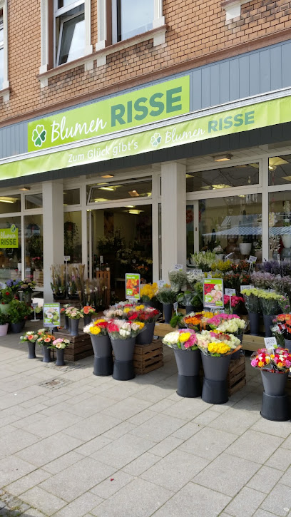 Blumen Risse Blumenladen Ennepetal