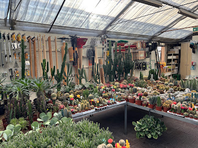 Bilker Gartencenter GmbH
