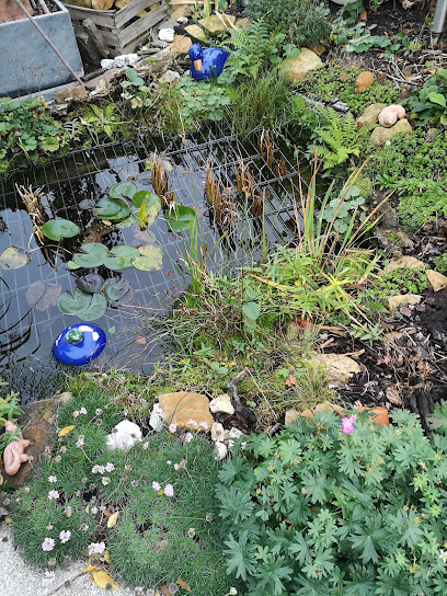 Marcus Luthe GbR Garten- und Landschaftsbau