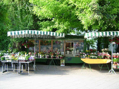 Blumen Blumencar Lücke