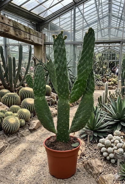 GartenGees GmbH