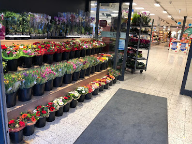 BlumenGees GmbH