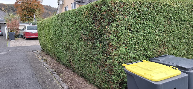 Punktgenaue Gartengestaltung GbR