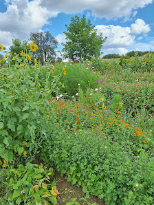 Schneider's Blumenparadies