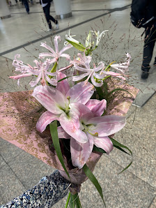 BLUMEN BRÜNING e.K.