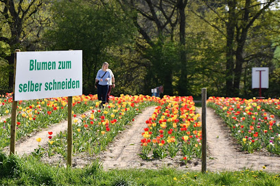 Blumen selber Pflücken