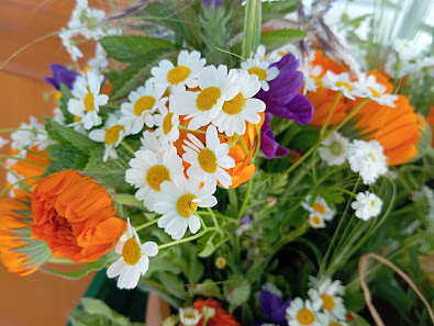 Blumen zur Selbsternte vom Biolandhof Petrik