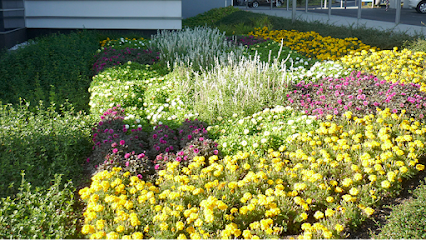 Traum in Grün Garten- und Landschaftsbau GmbH