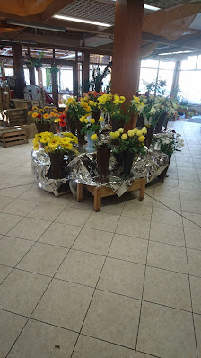 Blumenhaus Fechner