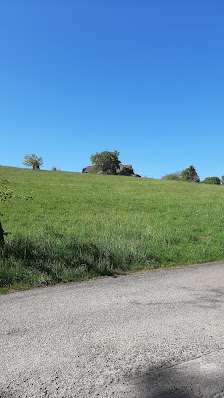 SIEPE Garten- und Landschaftsbau