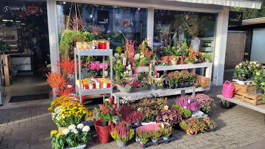 Stoffels - Blumenfachgeschäft