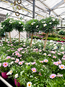 Blumenhof Rosenberger GmbH