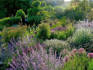 Iris Ney Gartengestaltung - Gartenerhaltung - Gartenreisen