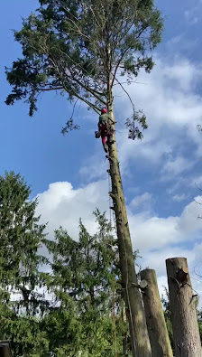 Gartengestaltung Schwalbach am Taunus