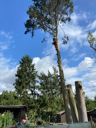 Gartengestaltung Schwalbach am Taunus
