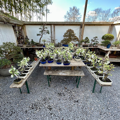 Bonsai Werkstatt Düsseldorf