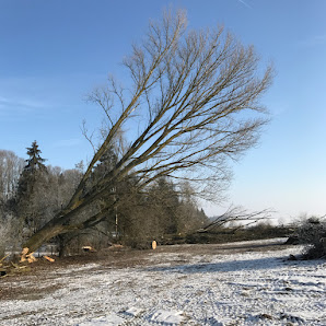 Graf Westerholt Garten- und Landschaftsbau UG (haftungsbeschränkt) + Co. KG