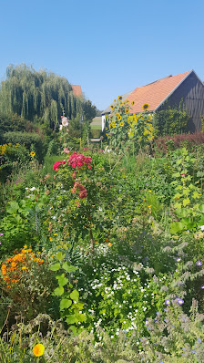 Firma Oliver Will Baum & Gartenpflege