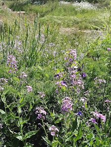 ecoscaping!brandtgrün