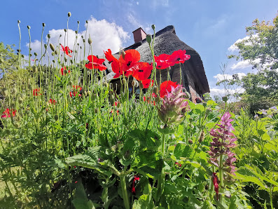 ecoscaping!brandtgrün