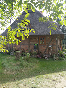 ecoscaping!brandtgrün