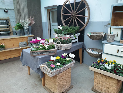Blumen Eisenhuth