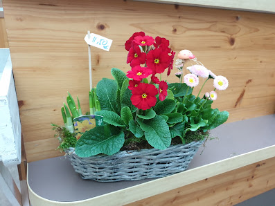Blumen Eisenhuth